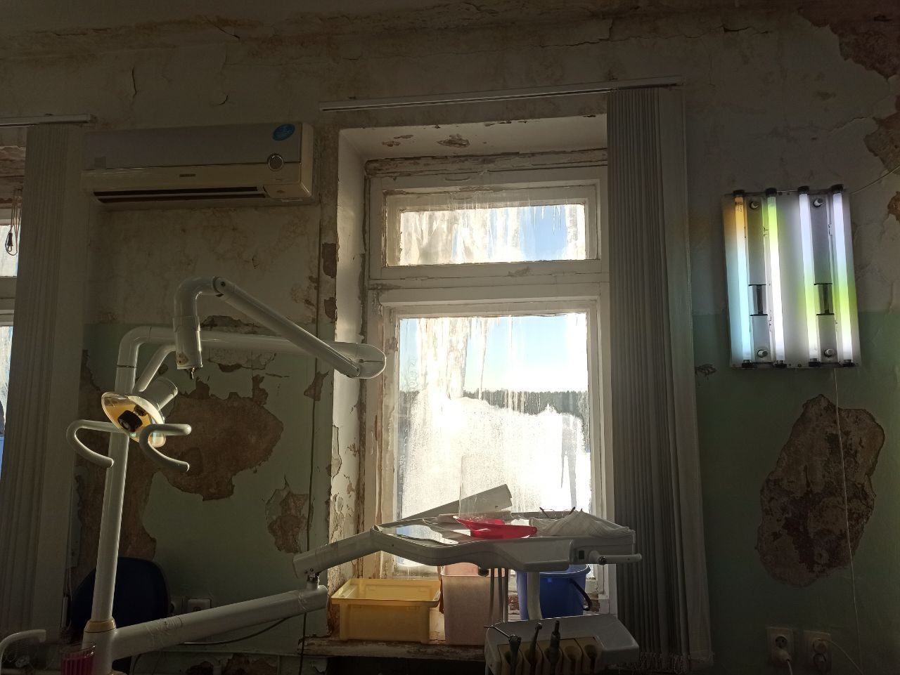 На стенах - пенициллин, на окнах - грибы. Это не фильм ужасов, а кабинет стоматологии
