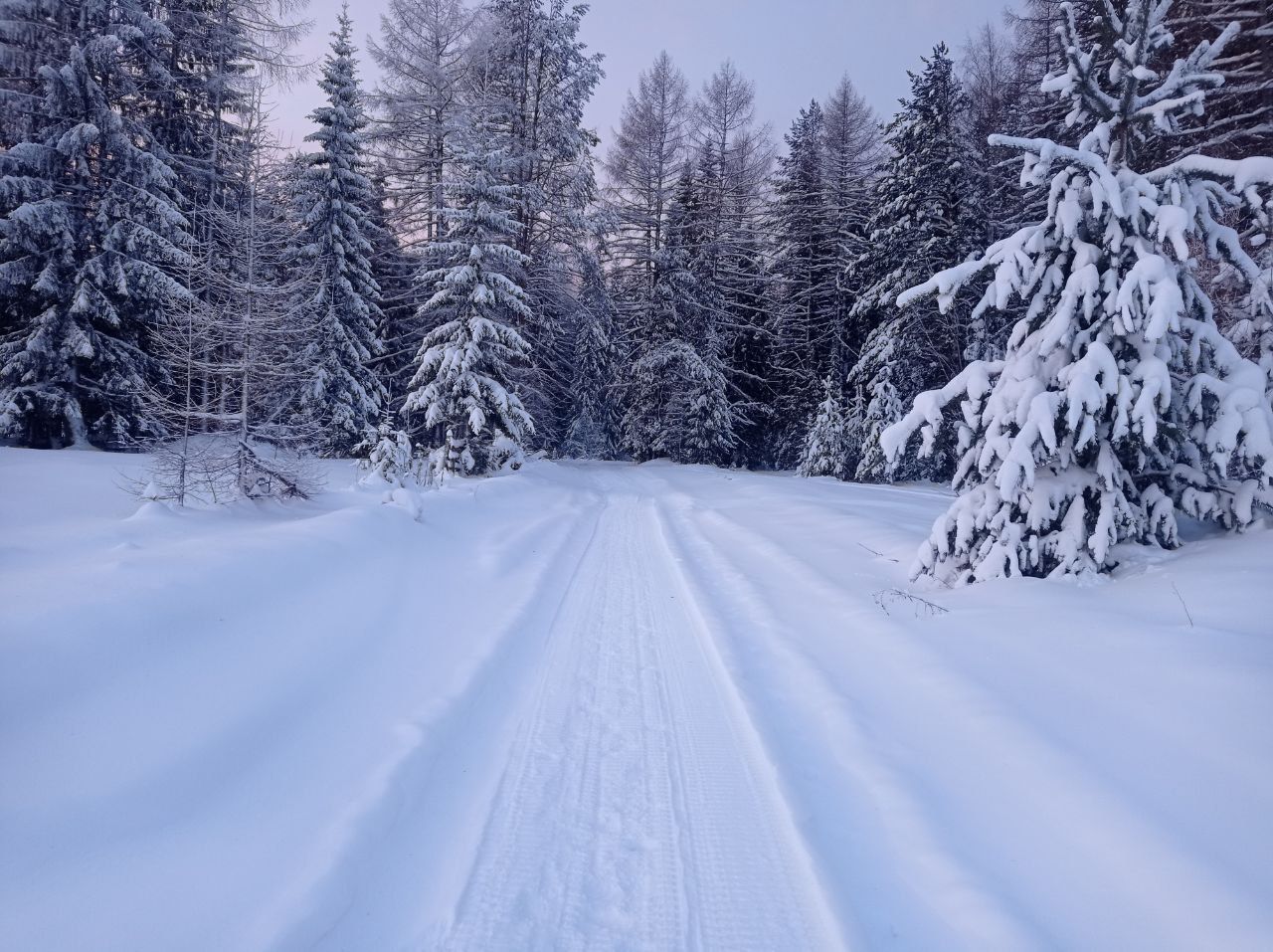 Вадим Кривцов: “Я бы жил в Бокситах, но у нас дорог зимой нет, только заячьи тропы”
