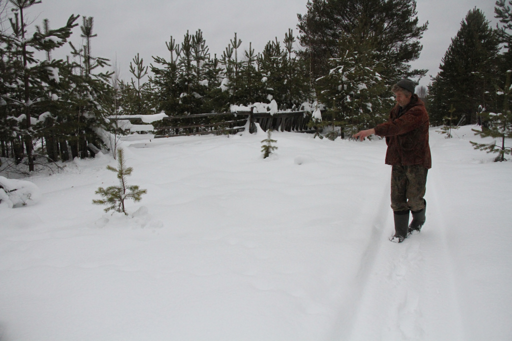 Владимир показывает волью тропу припорошенную снегом. Фото: Константин Бобылев, "Глобус"