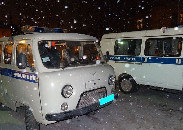 Новогодние будни североуральских полицейских: за каникулы составлено 30 протоколов
