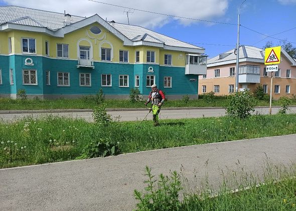 В Североуральске начали косить траву. Сегодня - улица Белинского