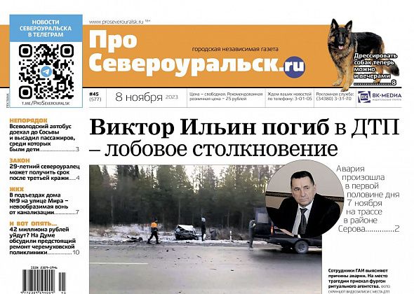 В ДТП погиб Виктор Ильин. Площадку для собак осветили. О чем еще расскажет газета