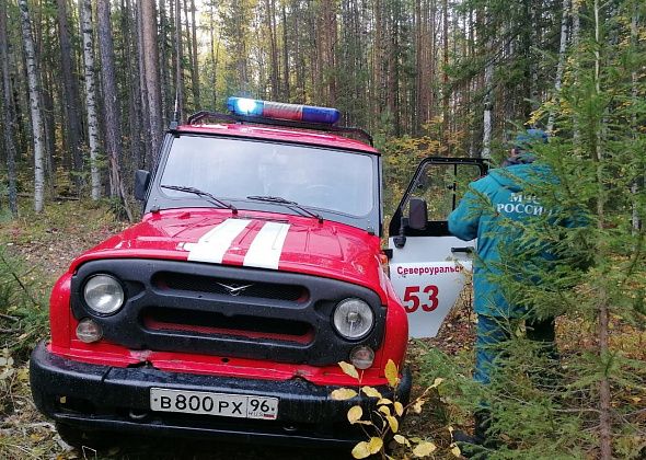 Мужчина заблудился в лесу в районе Черной речки. Выйти помогли сотрудники МЧС