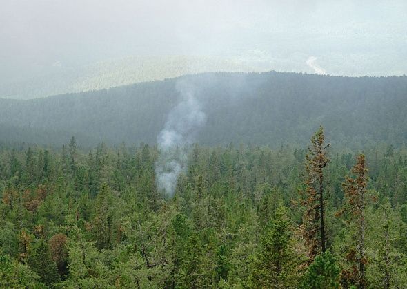 Константин Возьмитель - простыми словами о том, как не допустить лесных пожаров