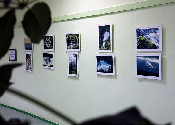 В музее открылась фотовыставка Константина Возьмителя “Не камнем единым”. До 24 октября пустят без QR-кода