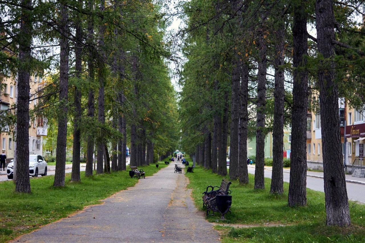 Североуральцам предлагают пройти опрос, посвященный развитию территории  Лиственничной аллеи с Привокзальным сквером | Новости | ПроСевероуральск.ру