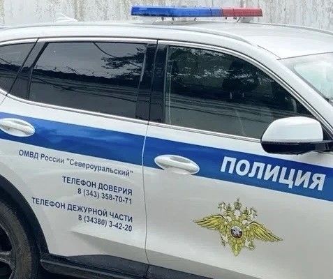 Североуралец заказал мефедрон через интернет, забрал закладку на кладбище и попался полиции