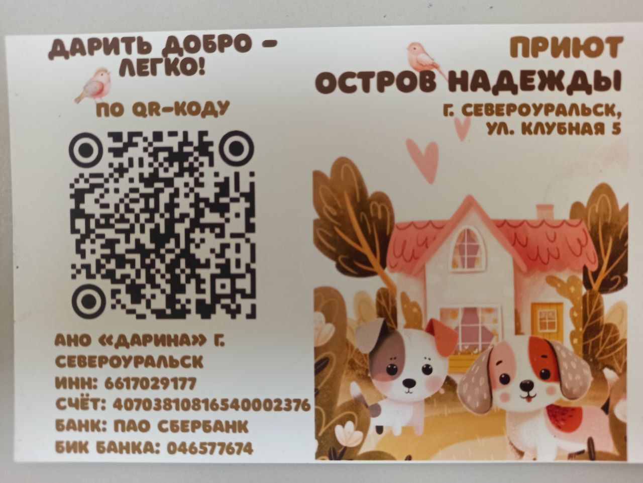 Администрация заплатит 360 тысяч рублей на услуги по обращению с бездомными собаками