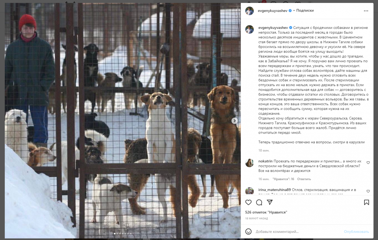 Губернатор потребовал от мэров доложить о решении “собачьего вопроса”: “Придется лично отчитаться передо мной”