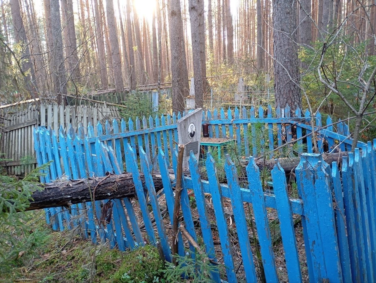 На старом кладбище попадали сосны, памятники и оградки раздавило. Волонтеров бы привлечь