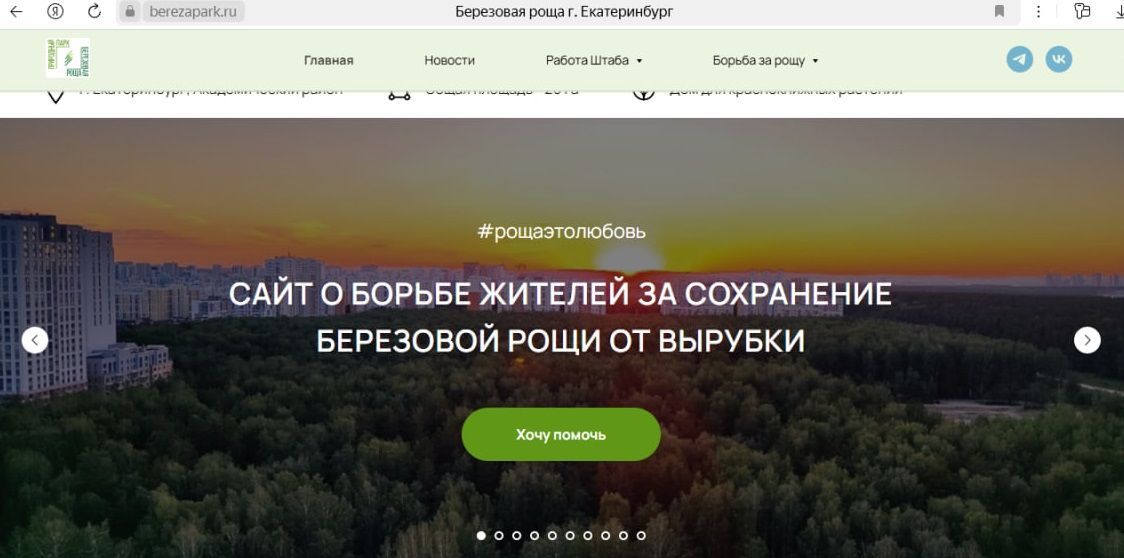 Березовую рощу в Академическом районе Екатеринбурга отстояли, не дав застройщику вырубить ее