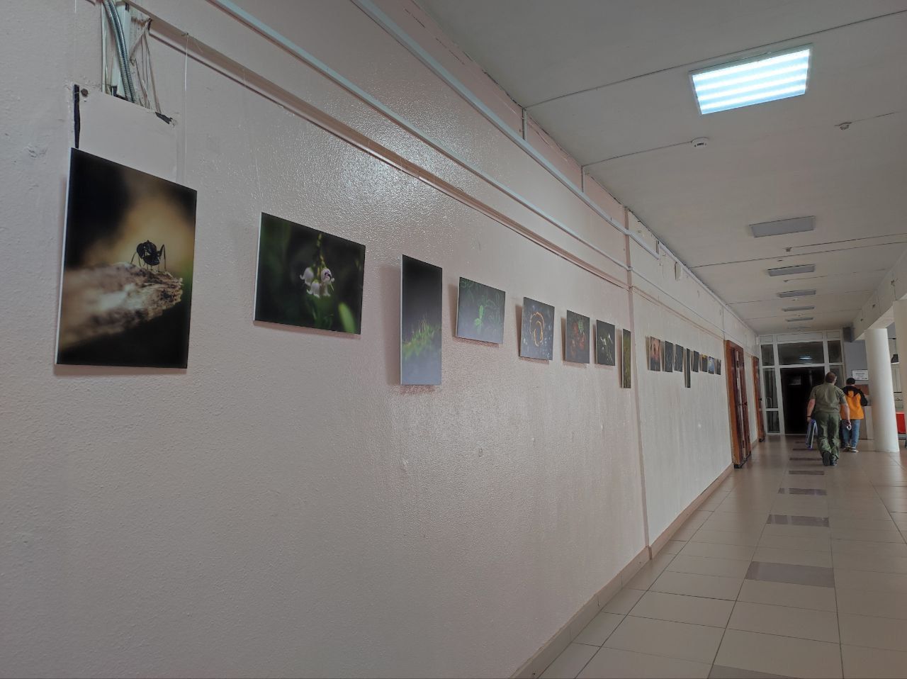 Авторская фотовыставка Фомы Возьмителя работает в «Современнике»