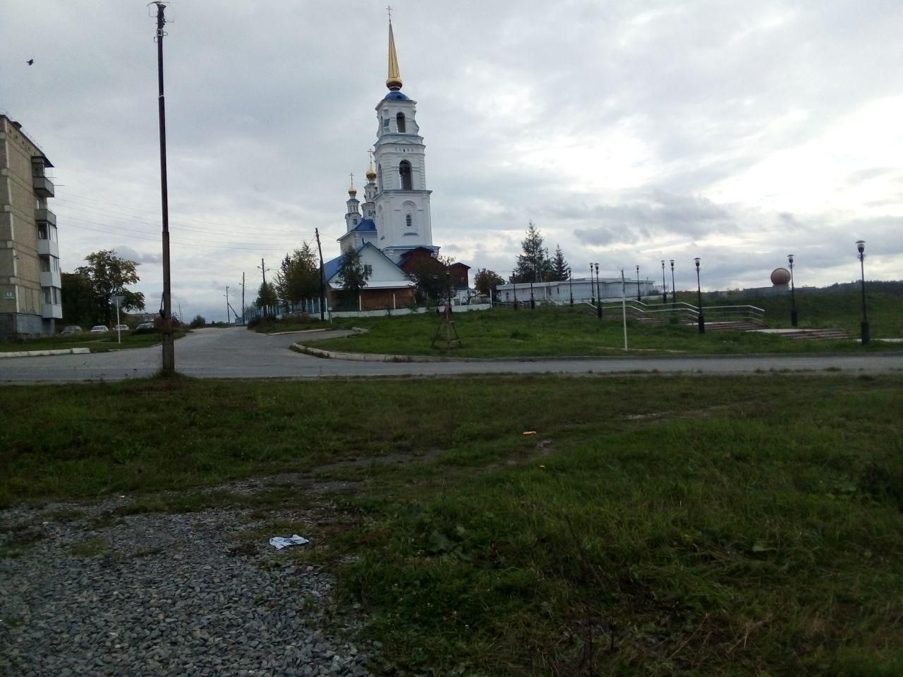 В Североуральске убили медведя, гулявшего по городу. А почему не отправили  обратно в тайгу? | Новости | ПроСевероуральск.ру