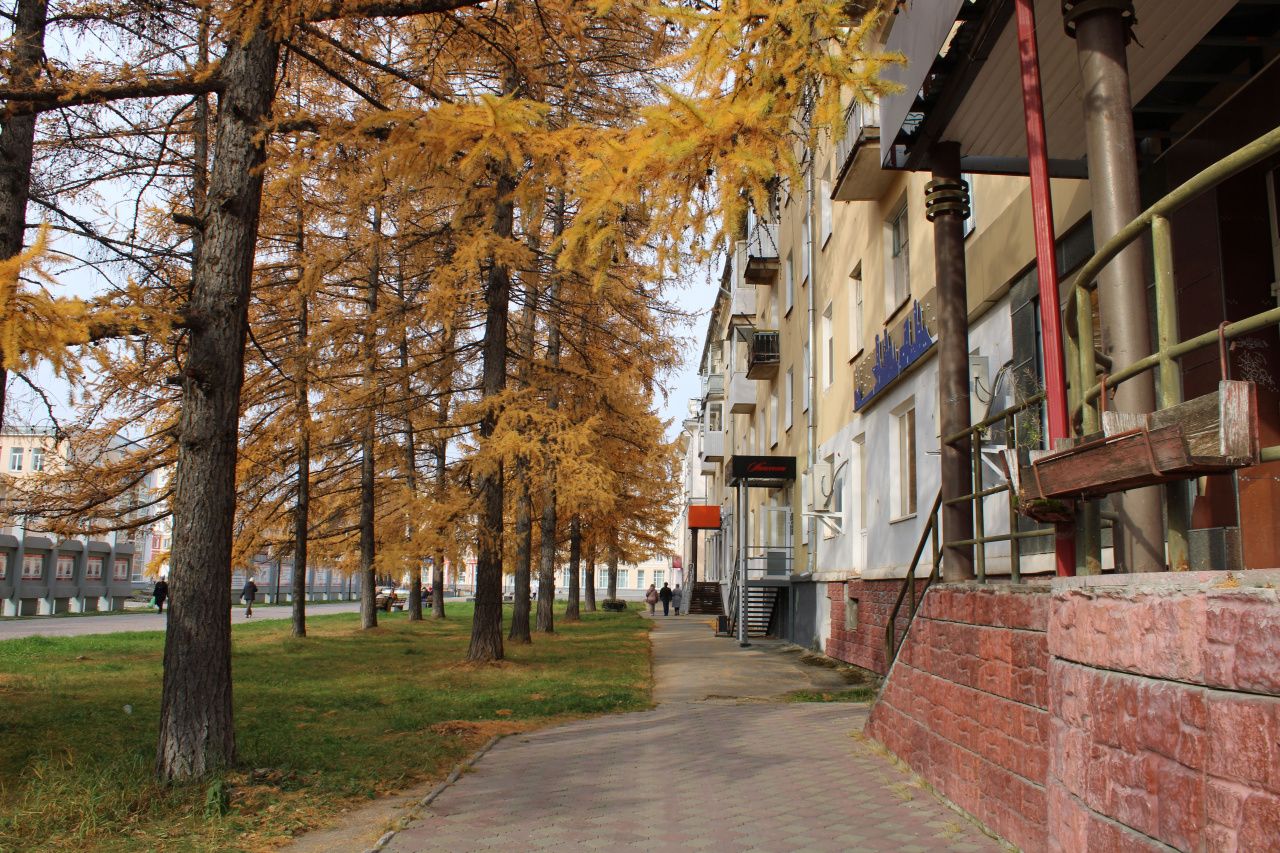 В доме №22 на улице Ленина заменят кровлю, в доме №43 - стекла в подъездах. Повезло?