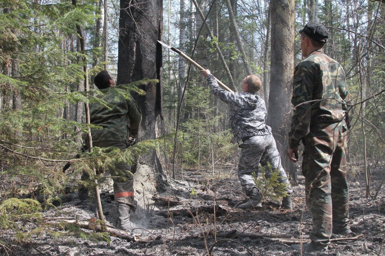 Инспекторы “Денежкиного Камня” проходят курс организации охраны заповедника от ландшафтных пожаров