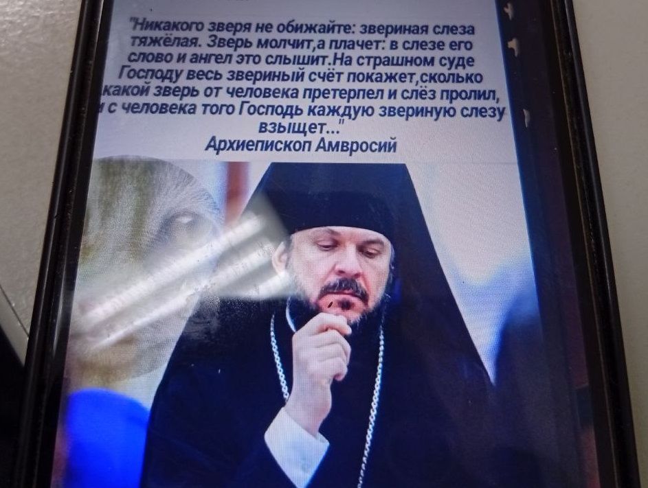 Пенсионерка передала на нужды бездомных животных 12 тысяч рублей. И другим советует помогать