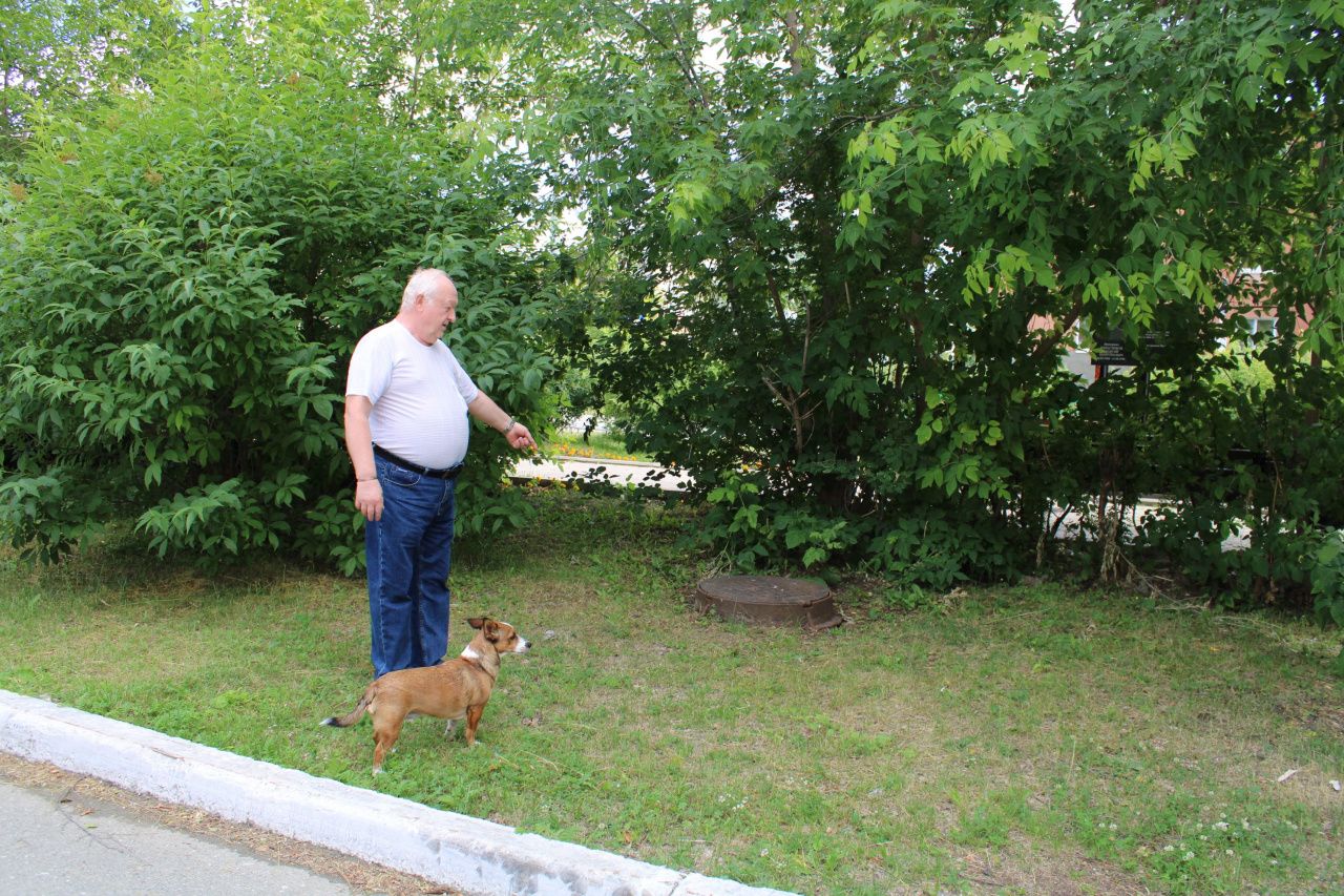 “То ли откачивают канализацию из колодцев, то ли сливают. Вонь стоит, дышать нечем”