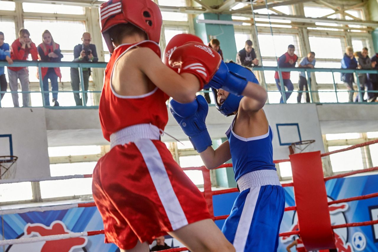 Завтра в Североуральске пройдет матчевая встреча по боксу памяти Владимира Барыкина