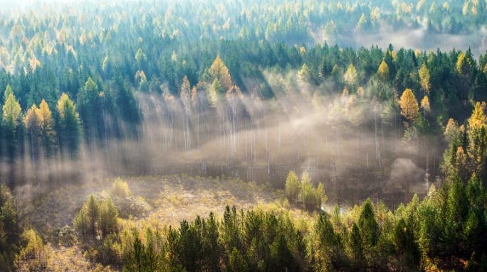 К 90-летию СУБРа. Из архива Евгения Мылова: "В первое десятилетие"