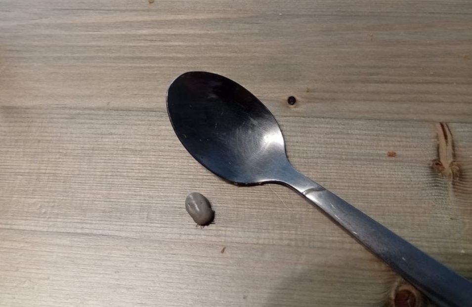 Иммуноглобулина нет. Антибиотик по рецепту. Стелите гроб, я спать иду