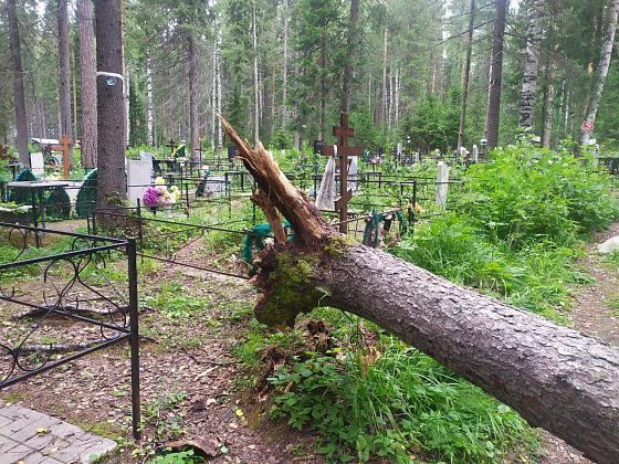 Администрация заключит контракт на содержание кладбищ в городе и поселках