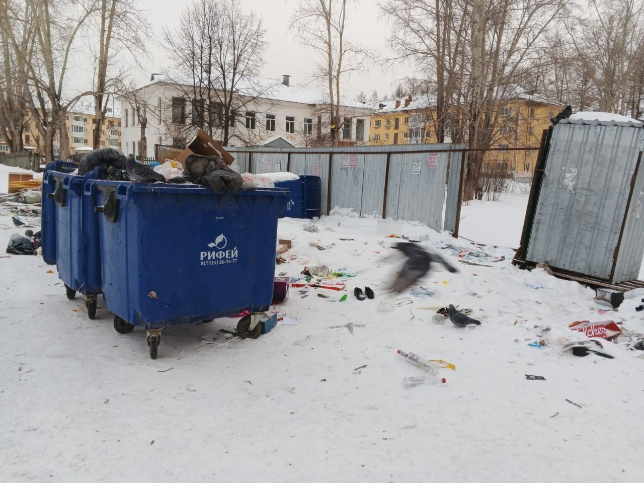 Жильцы дома №9 на улице Мира недовольны состоянием контейнерной площадки. Мусор летит в Парк Победы