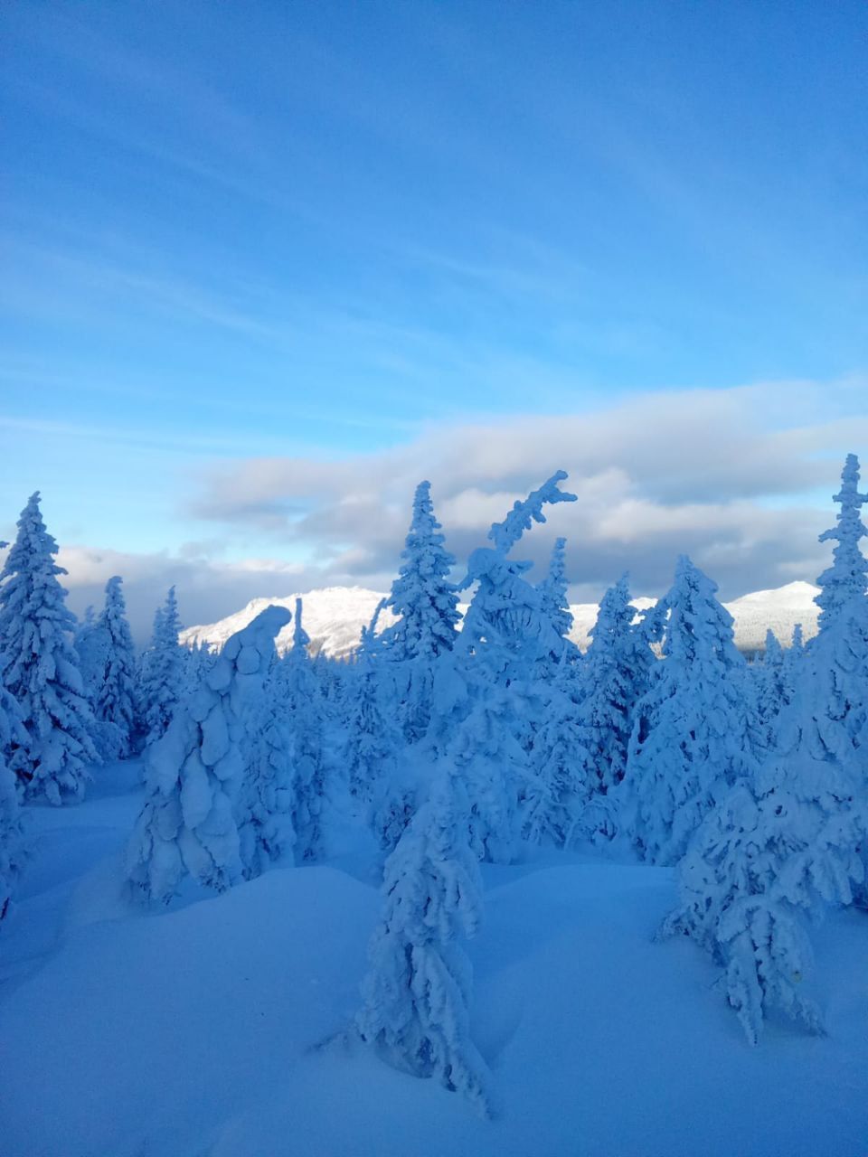 Североуральский краевед констатирует - в прошлом году в этот день было минус 39 градусов