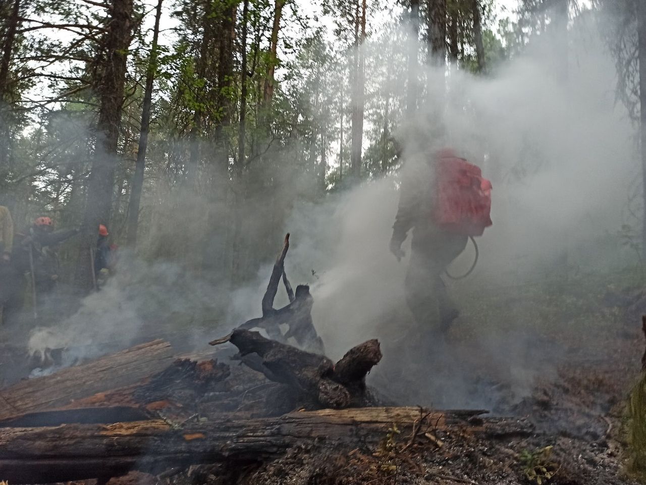 Эксперт считает, что вероятной причиной пожара в заповеднике “Денежкин Камень” стала молния