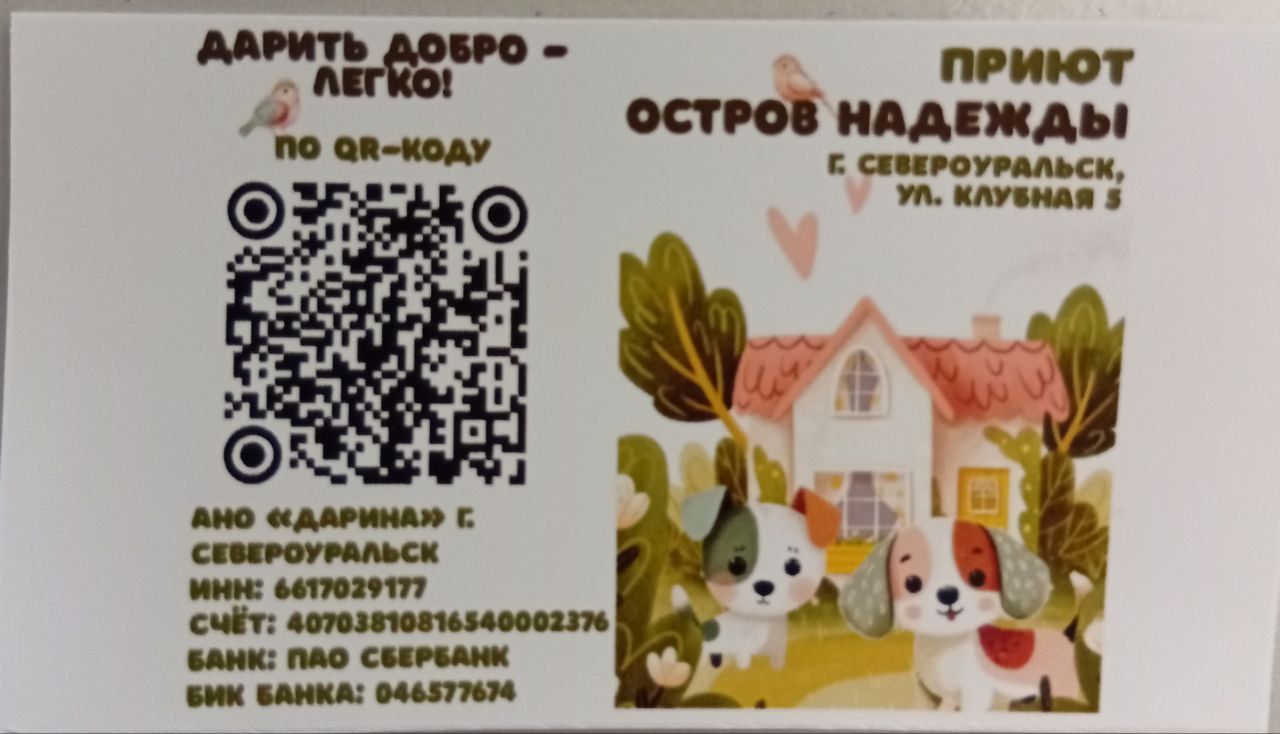 Североуральцы передали волонтерам “Дарины” корма, крупы, лотки и наполнители для животных 