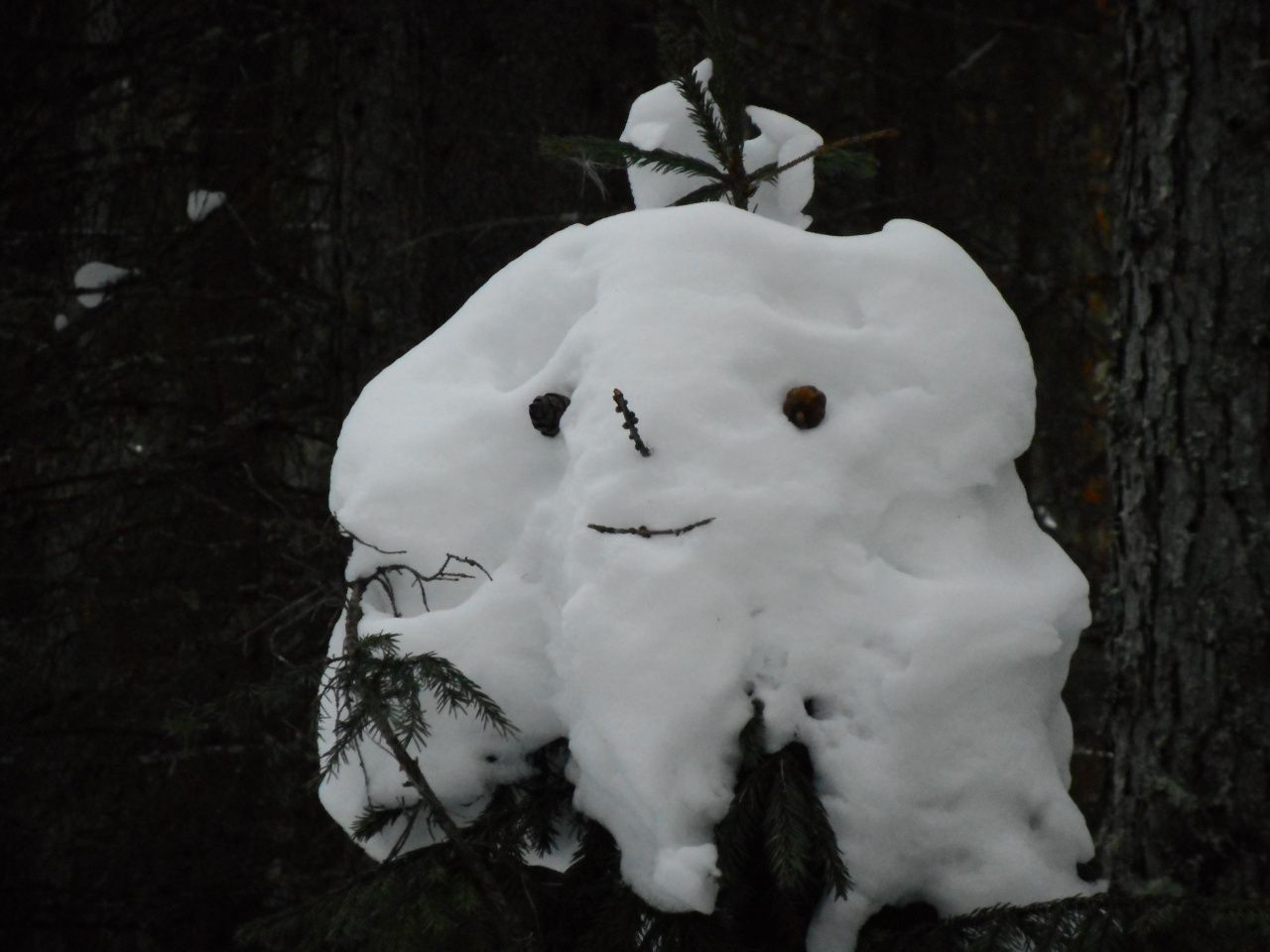 Геннадий Патрахаев: Самые низкие температуры февраля, или Крепитесь, люди, скоро лето!