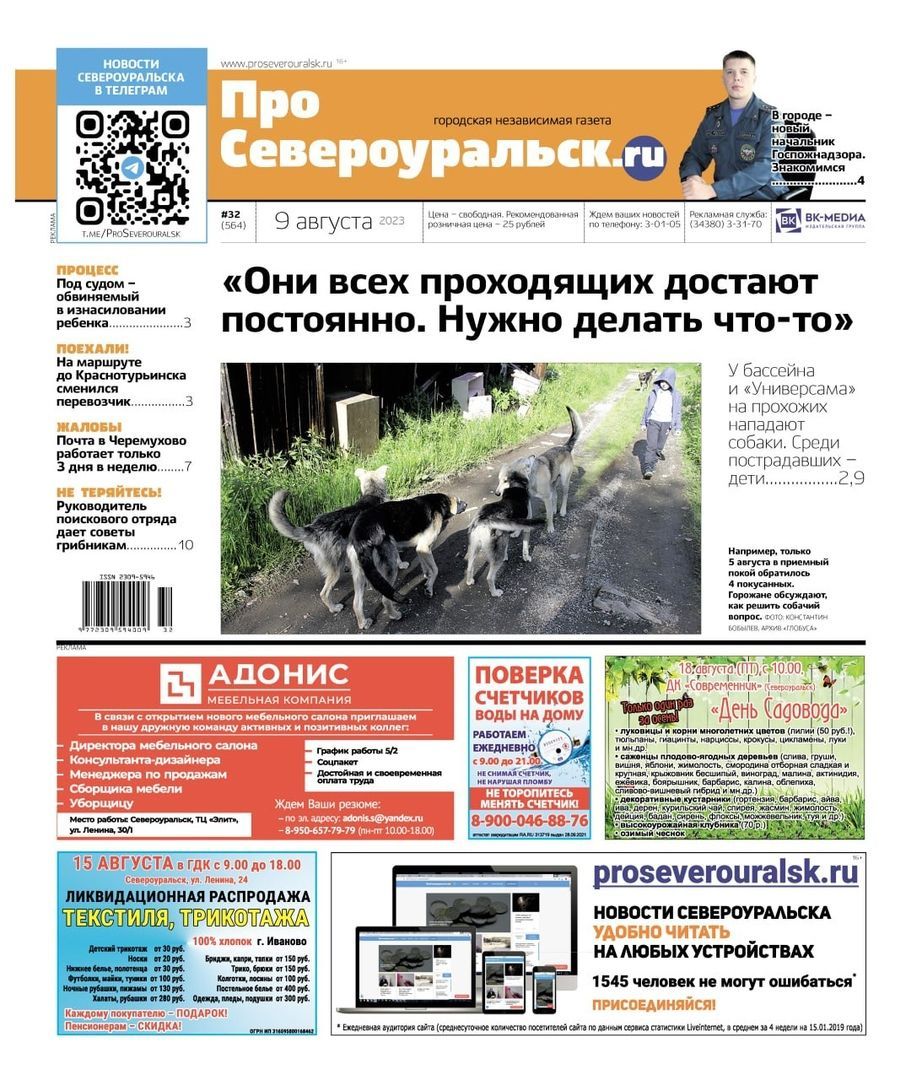 Собаки терроризируют прохожих, в Черемухово жалуются на график работы почты