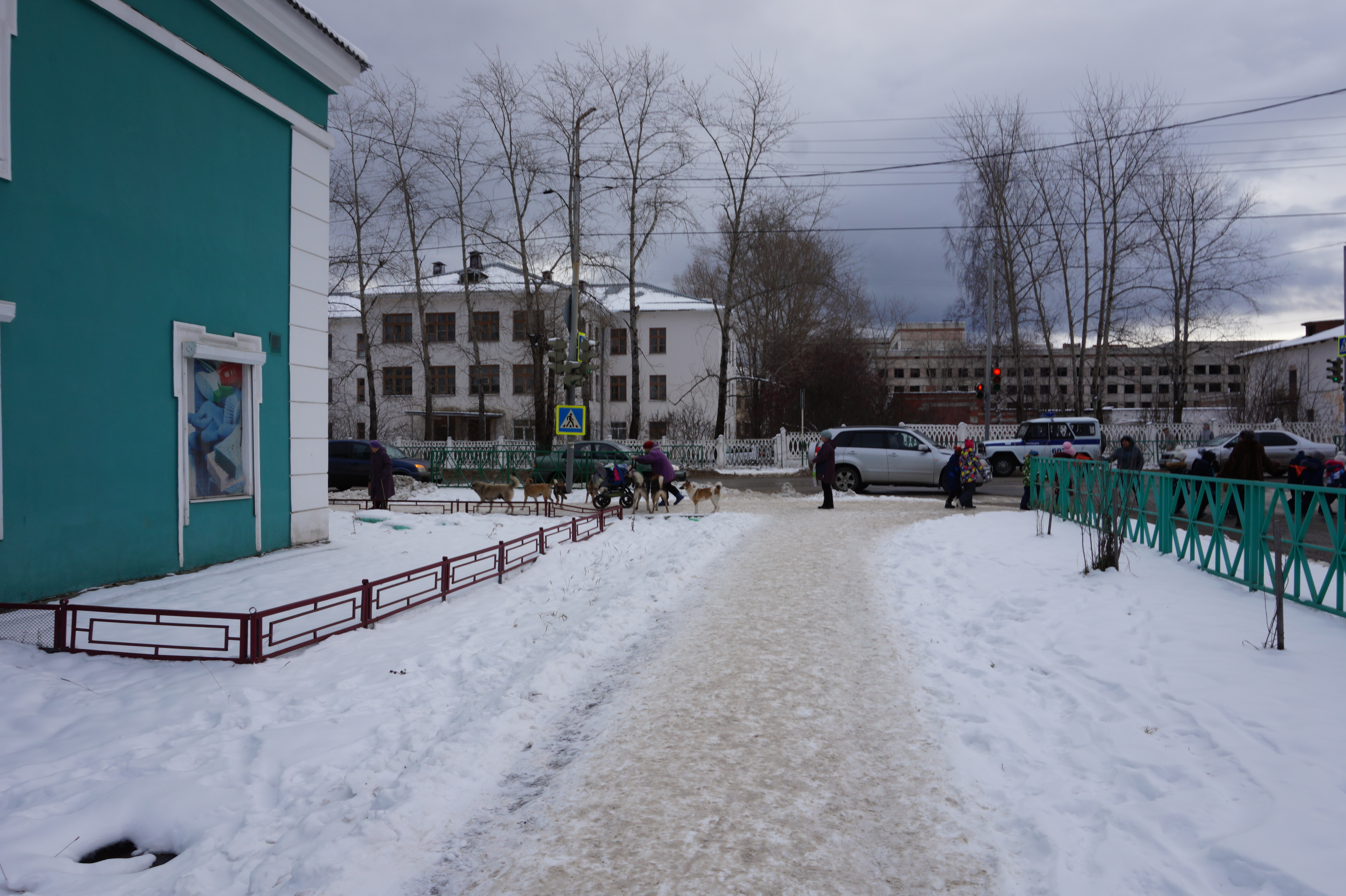 Видное закрыли. Собаки Павловой Североуральск. Психушка в Североуральске. Собаки Павловой Североуральск 2020. Собаки Павловой из Североуральска продолжение.