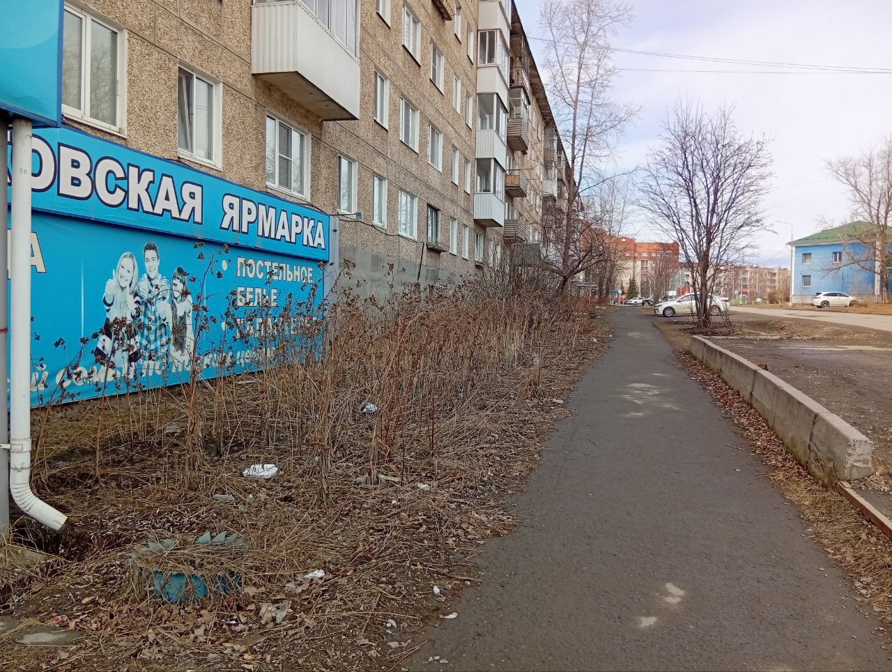 За вынос веток и листьев в контейнер - штраф! То же - со строительными отходами