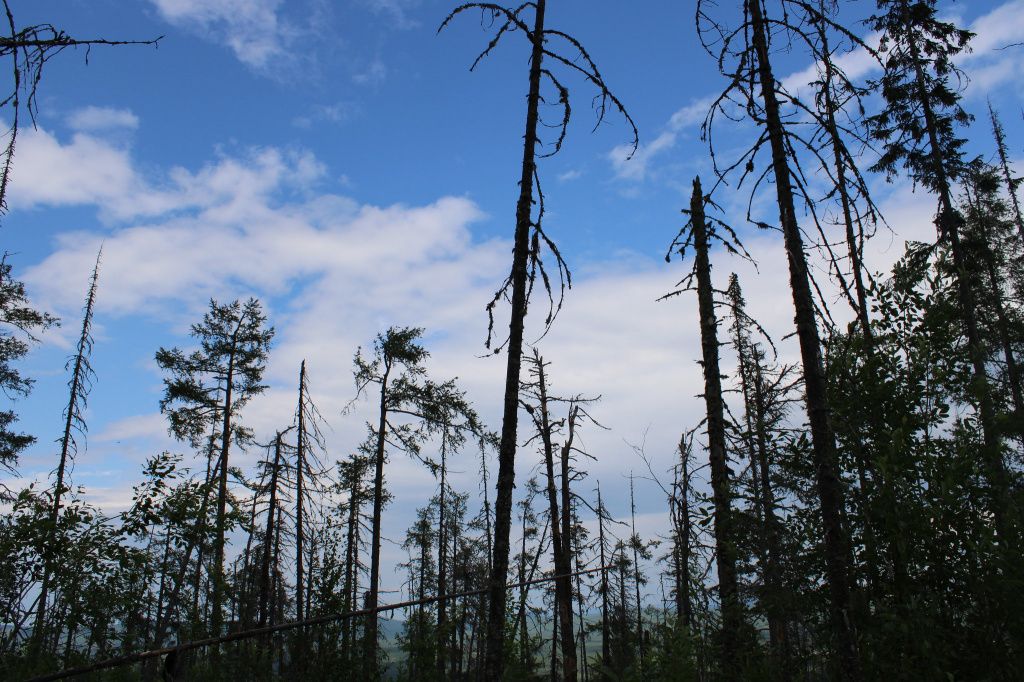 Федор Медведев: «Самое страшное — не звери, а страх. Он отнимает последние силы». Фото: Алла Брославская, архив «ПроСевероуральск.ru»