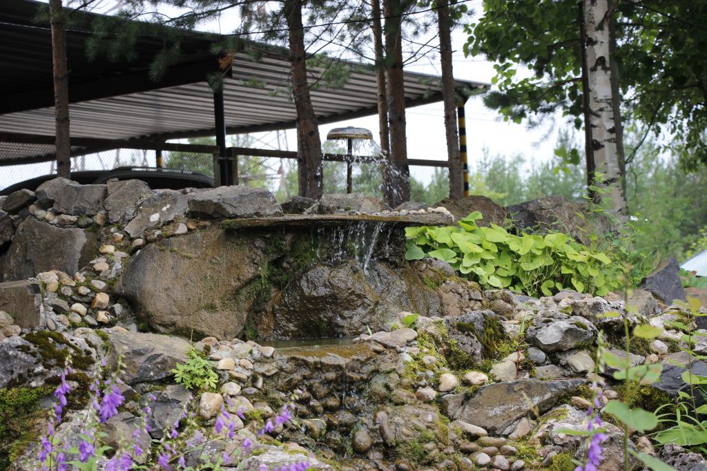 Фото: пресс-служба СУБРа