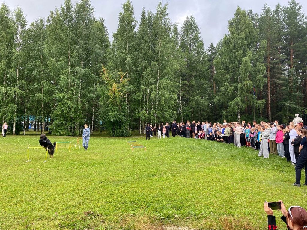 Показательные выступления Кошмара. Фото: ОМВД по г. Североуральску