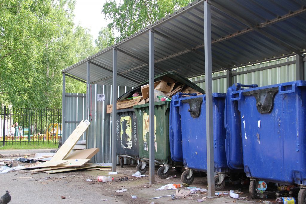 Под баками разлилась зловонная лужа. Фото: Анна Куприянова, "Глобус" Под баками разлилась зловонная лужа. Фото: Анна Куприянова, "Глобус"
