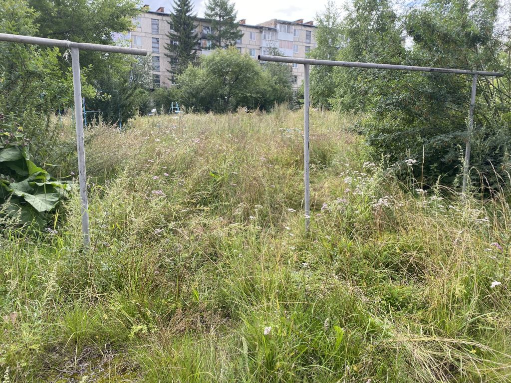 Заросший двор жительница сравнивает с лесом. Фото: Анна Куприянова, "Глобус"