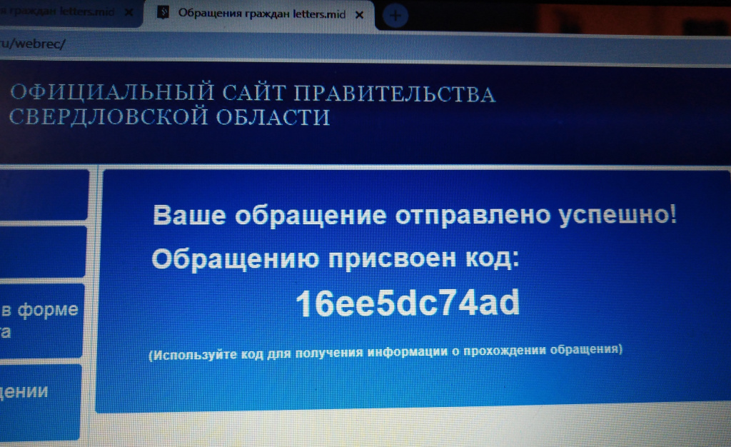 Обращение общественника Александра Столбова к губернатору Евгению Куйвашеву. Фото предоставлено Александром Столбовым