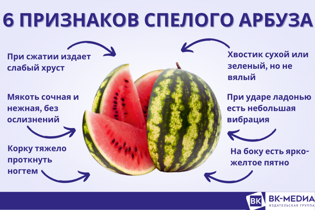 Когда лучше покупать арбуз. Лучший Арбуз. Арбуз неравномерно сладкий. Идеальная дыня.