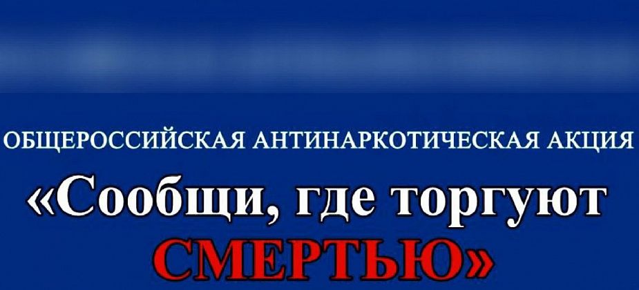  Полиция Североуральска проводит акцию “Сообщи, где торгуют смертью". Первый этап стартовал
