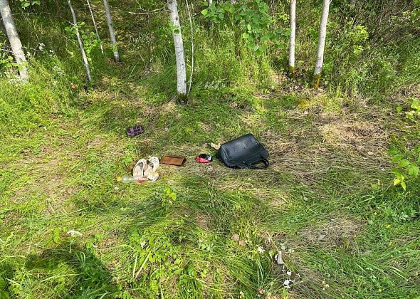 83-летняя дачница, которая не дошла до дома, обнаружена в лесу сотрудниками полиции. Женщина в реанимации
