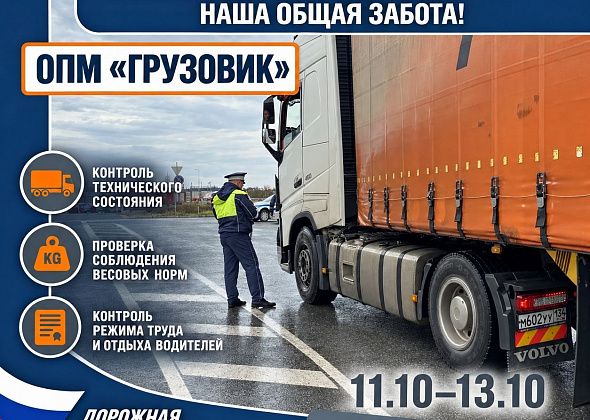 ОПМ “Грузовик” - проверили 46 автомобилей, выявили 12 нарушений