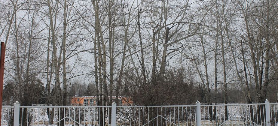Встаем на лыжи и коньки. Корты заливаются, пункты проката ждут посетителей
