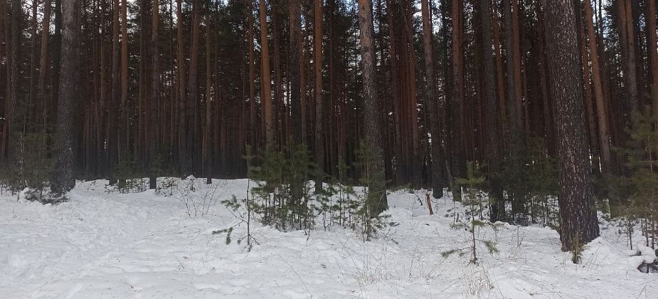 Приметы на 2 марта. Спим вместе с ребенком, не покупаем обувь