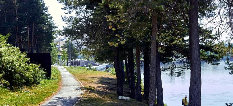 Ближайшие дни на севере области будет умеренно тепло