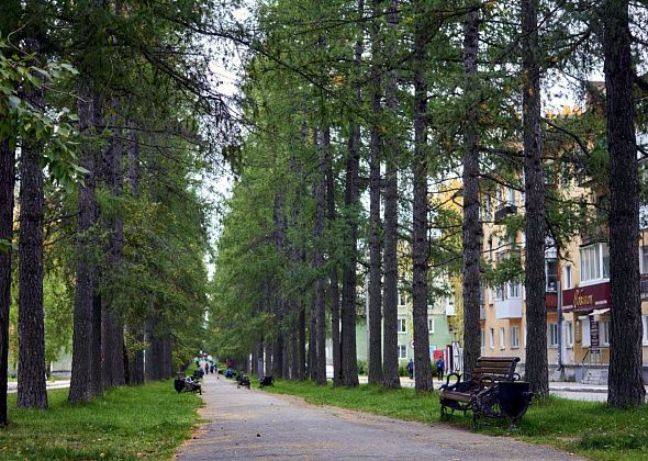 За благоустройство городских территорий проголосовали уже более 6,6 тысячи североуральцев
