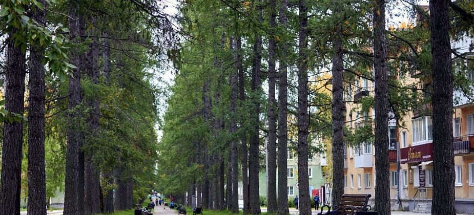 За благоустройство городских территорий проголосовали уже более 6,6 тысячи североуральцев