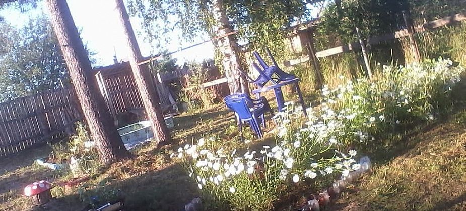 5 протоколов за несоблюдение противопожарного режима уже составлено. И в лес ходить - нельзя!