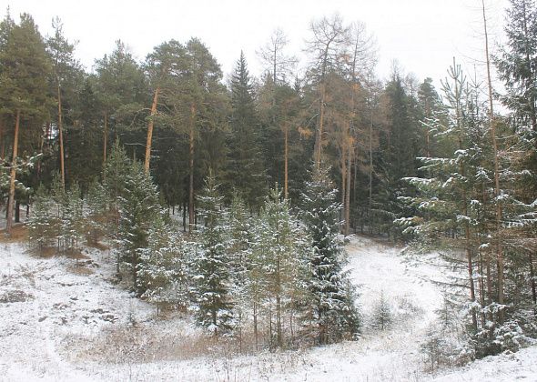 При каких температурах в школу можно не идти. Следите за ветром